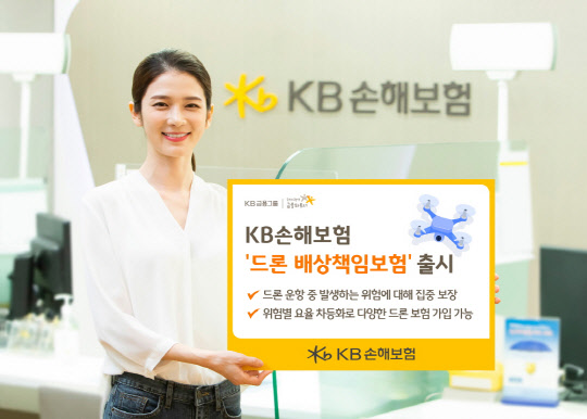 KB손보 제공